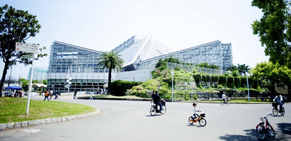 🌳 꽃박람회 기념공원 쓰루미 녹지 이미지 7